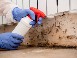 Best Black Mold Removal  in Fair Lawn, NJ